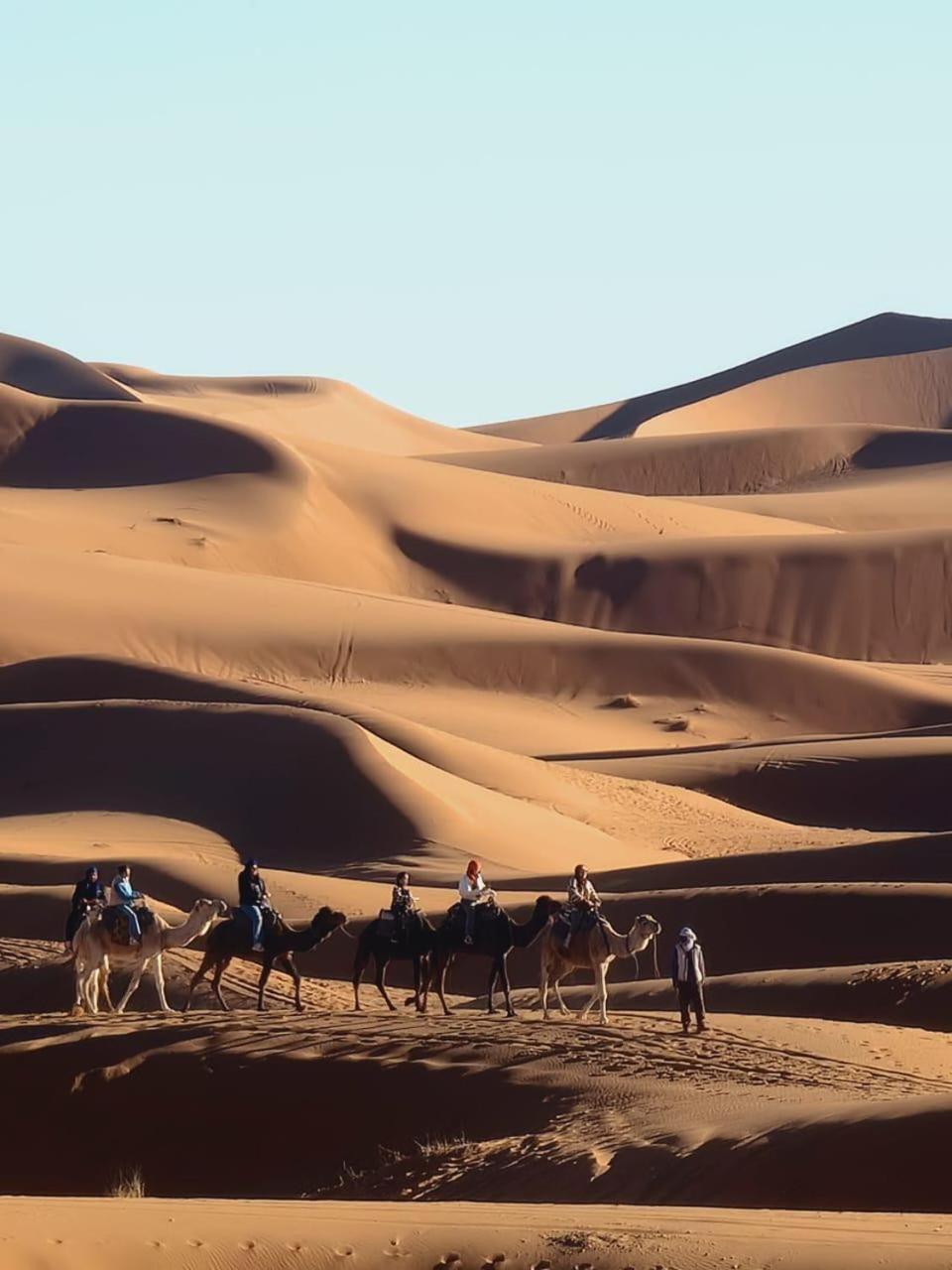 فندق Tuareg Luxury Camp مرزوكة المظهر الخارجي الصورة